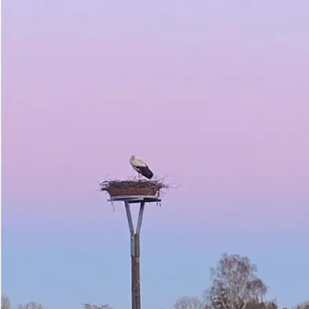 Lejlighed Gutshaus Zarnewanz