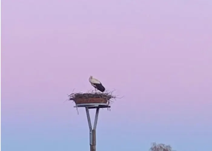 アパート Gutshaus Zarnewanz